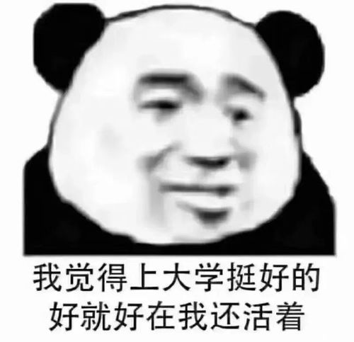 表情包丨表情包可爱小女孩5.07期
