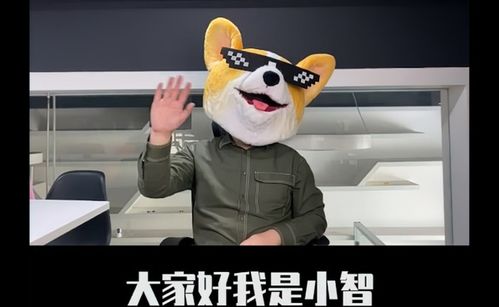 被围殴的pdd打假赛的电竞选手假赛阴云包围下的中国电竞