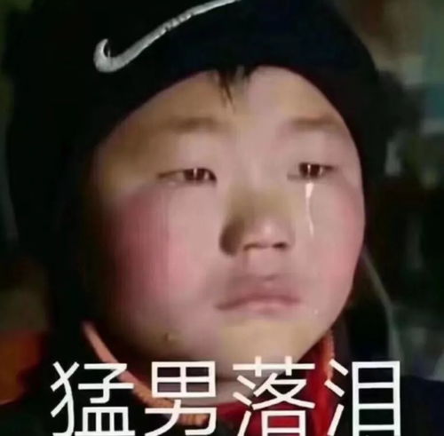 崔李浩表情包最新头像