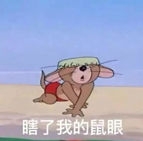 小猪先生婚礼嘉宾阵容强大,夺笋网友看你怎么一见钟情