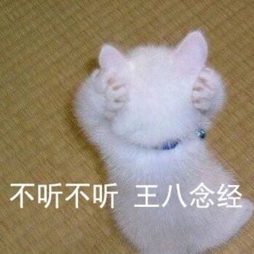 你们对于集资应援怎么看