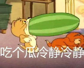 更新藤校录取率名校榜单到底有多牛家长们都关心的真相来了