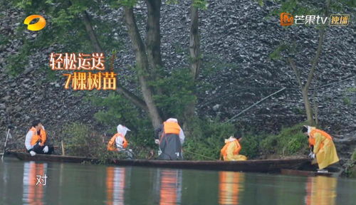 张艺兴过着向往的生活,没想到却被何炅和观众当成了笑话