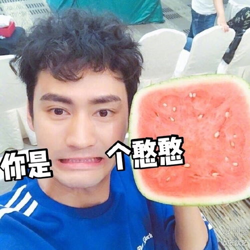 组图头号黑粉上线张歆艺绿洲晒老公袁弘表情包秀别样恩爱