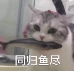 美白针