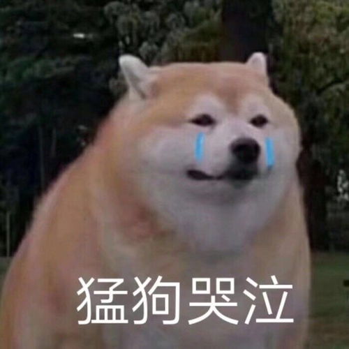 我弟今天过生我好替他难过