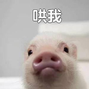 去老挝看这篇就够了