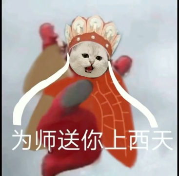 猫长老取经第一天就被吸秃了,弱小可怜又无助,这也太可爱了吧