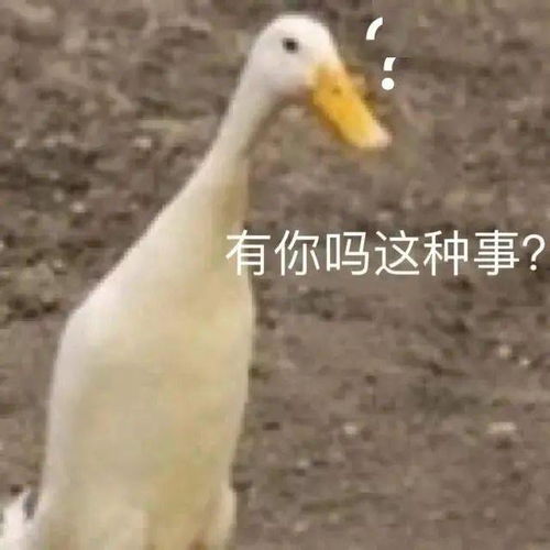 80块钱的colourpop,nyx等新款买不买