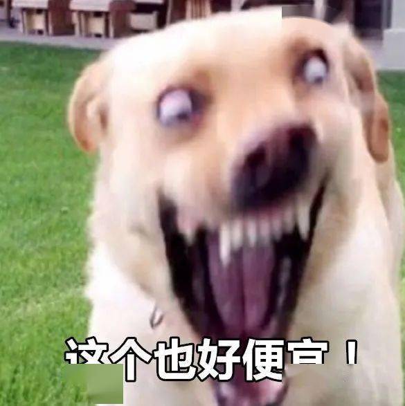 quers,点击解锁你的双十一正确打开方式