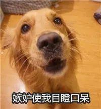 金盈所突然扎心,有一种东西叫别人家的年终奖