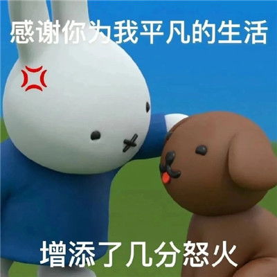 实用性很高的热门表情包最流行受欢迎的表情合集