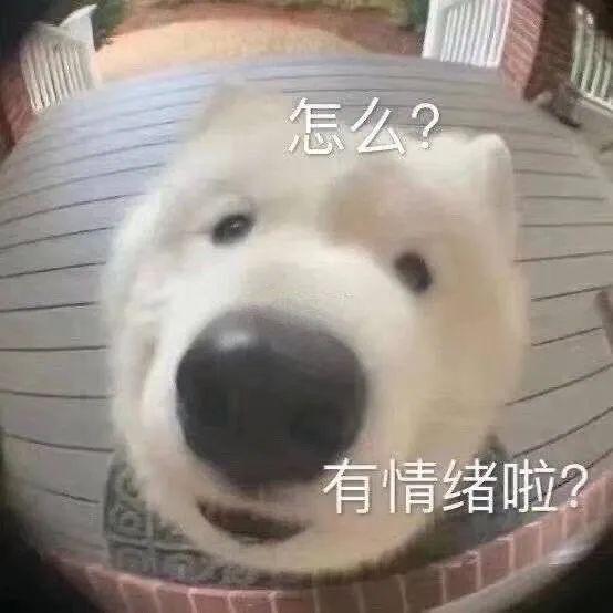 e句话喊自己小孕妇,金靖被审判了