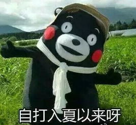 宋小宝表情包图片宋小宝表情包带字图片