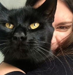 喜欢和人拥抱的猫咪,不过你那表情是怎么回事