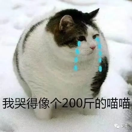 蛀牙我们忧伤的身体