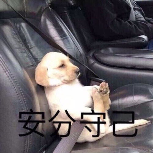 有哪些文案让人一看就知道你很有趣