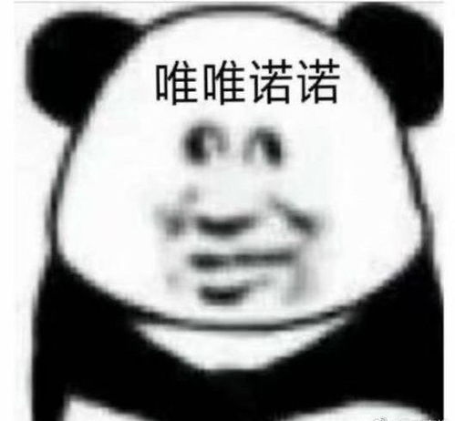 倪妮眉毛贴为什么会上热搜大家如何评论的