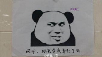 四川高校食堂现魔性表情包告示牌