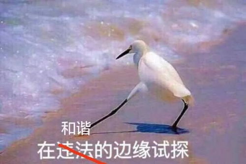 这么普通的网剧,为啥火成这样
