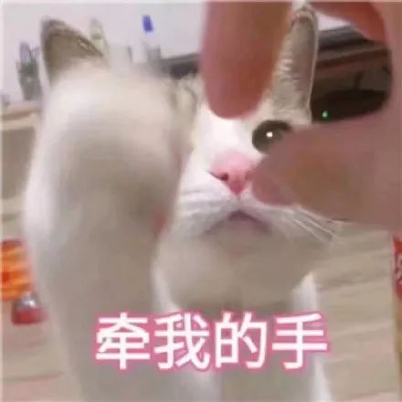 猜爆款3个免单名额,到底有没有你的份