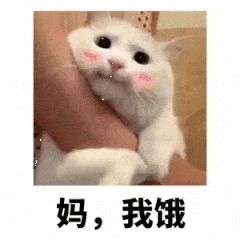 出门旅行怎么少的了它芒果娱乐福利又一弹