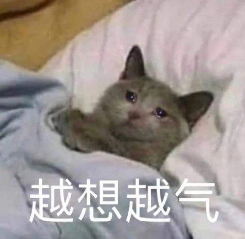 男生第一次进女生房间时在想什么