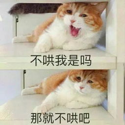 没有什么是电音解决不了的如果有就下一首