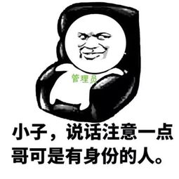 群聊必备表情包这可能是个假群,一个勾引我的人都没有
