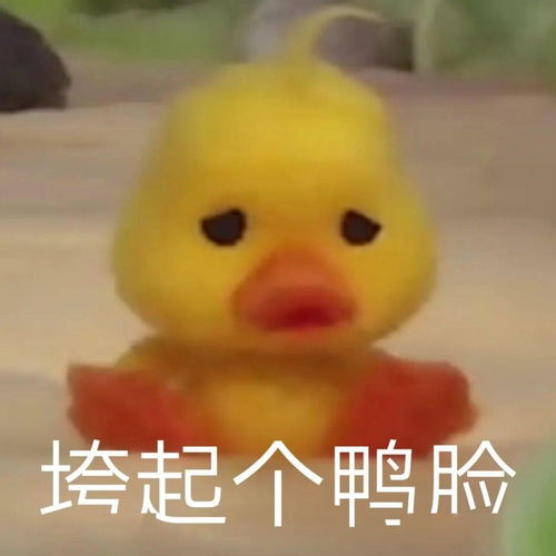 今日头像丨把昨天都作废现在你在我眼前