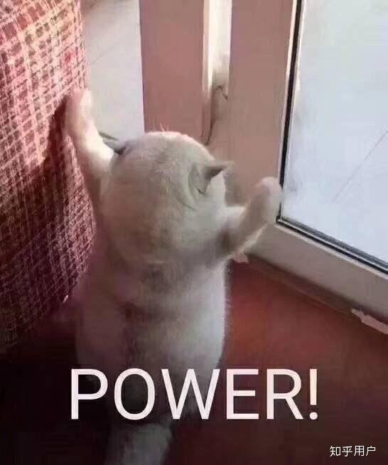 俺妹黑猫表情包俺妹