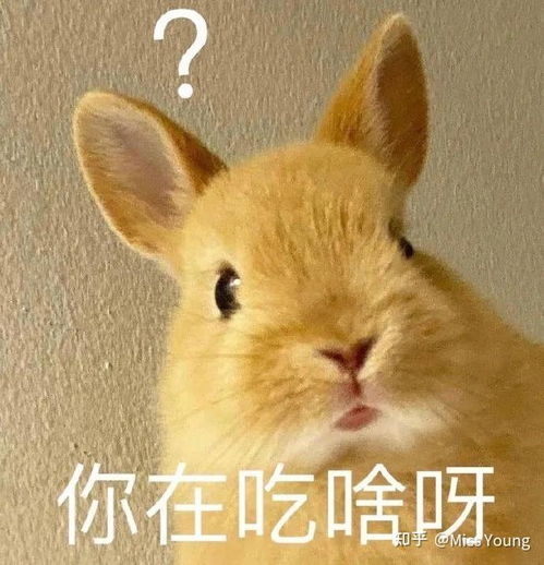 求推荐好用的祛痘精华