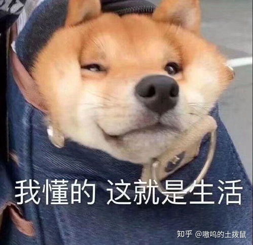 请问下面这个配置得笔记本玩和平精英和cad绘图卡不卡
