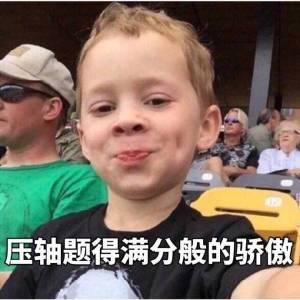 你见到过最有趣的表情图