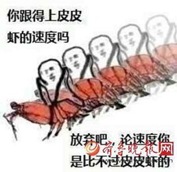 皮皮虾我们走什么意思有什么特殊的含义一大堆水产系列表情包就上线了