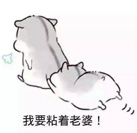 爱老婆宠老婆的表现图片表情老婆奴专用表情包