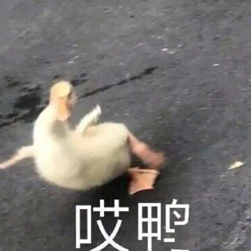 佛山一老伯坠入4米深井,水位已淹到腰