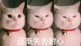 今天起,暴雨又赖着不走这个六一又要泡汤了