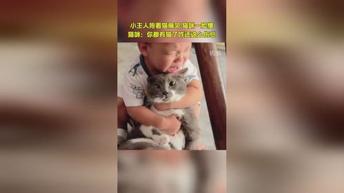 小主人抱着猫痛苦,猫咪一脸懵,猫咪你都有猫了咋还这么伤心来源新华社快看