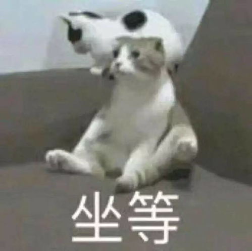 用公式算中彩票头奖有个会计学霸做到了,14次