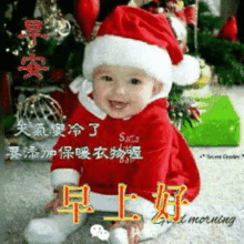 2019聊天表情图库太美了不打字就能聊天