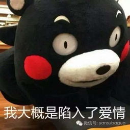 忘掉翻译官,遇见王沥川才是良心言情的正确打开方式