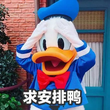 90打完水光针的人都会出现这个后遗症