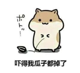 我们不生产表情,我们只是可爱表情的搬运工丨编辑部段子第二弹