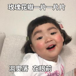 罗熙表情包第五弹