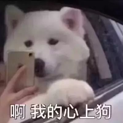 七夕不一样的表白方式