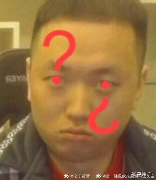 在上海华师双语高中部读书是怎样的体验