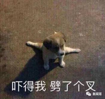 大神花露水沃尼玛666皮炎平这些高仿产品是想把我笑死