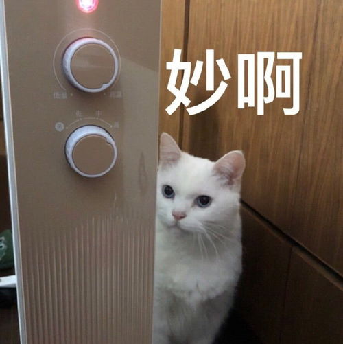 可怜图片大全表情包巴巴