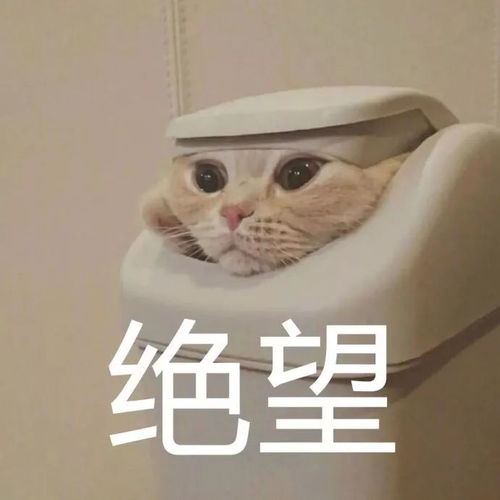 给你们统一分配对象了请大家好好珍惜